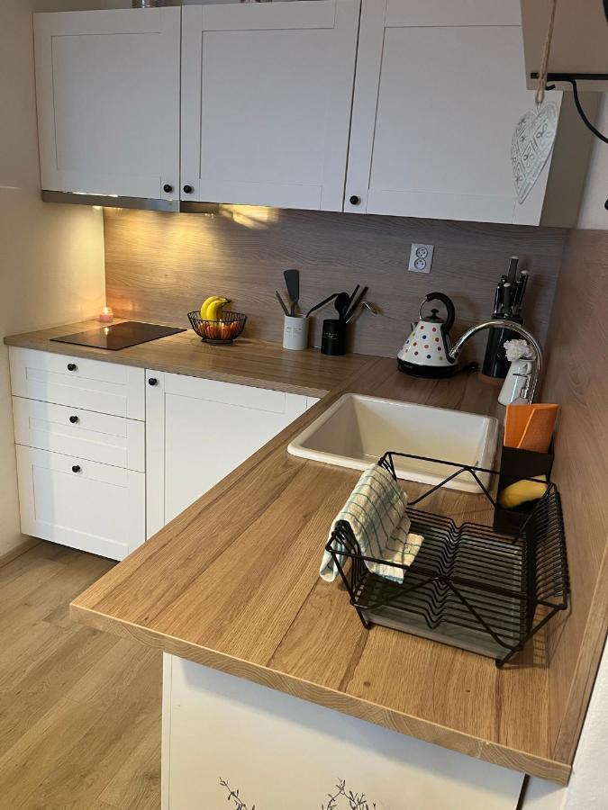 Utulny Apartman Na Dolni Morave Dolní Morava Εξωτερικό φωτογραφία